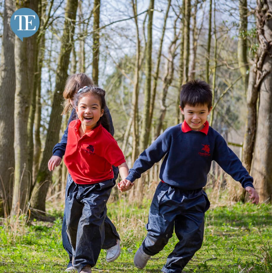 WATCH: 10 Questions with Adam Mallins, head of Chandlings